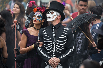 Spectre, James Bond, Daniel Craig, Movie, Estrella (Spectre), Spectre (Movie), Stephanie Sigman HD wallpaper