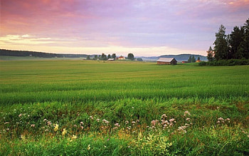 Nordic landscapes II., scene, landscape, , spring, Nordic, North, field, flower, clouds, nature, sky, , mountains, forest HD wallpaper