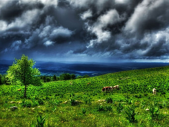 Mont dOr, clouds, grass, mountain HD wallpaper