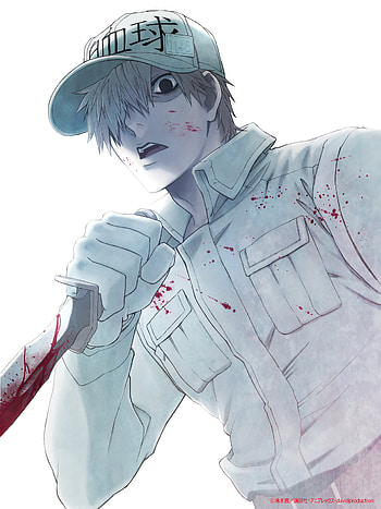 Hataraku saibou, backgrounds, Beautiful anime, Attractive HD phone wallpaper
