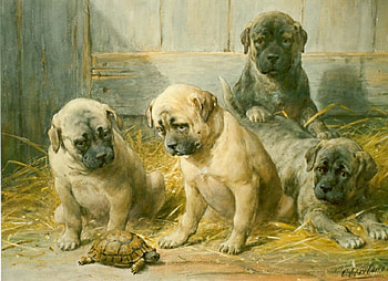 Turtle thing, dog, turtle, otto eerelman, puppy, painting, art, pictura, caine HD wallpaper