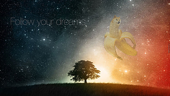 Doge - Meme - HD wallpaper