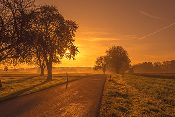 Scenic Road Sunrise Sunset Trees Meadow, sunrise, sunset, nature, trees HD wallpaper