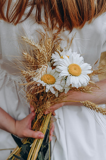 Flowers, Camomile, Bouquet, Hands, Wildflowers HD phone wallpaper