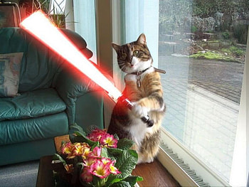 may the force be with you , jedi knight, lightsaber HD wallpaper