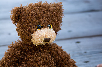 Teddy Bear, Miscellanea, Miscellaneous, Toy, Curly HD wallpaper