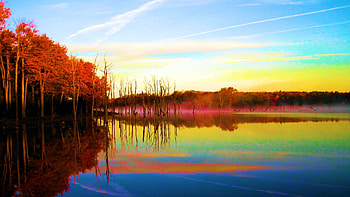 Sunrise in Quehanna Wild Area, Pennsylvania, trees, sky, water, reflections, usa HD wallpaper