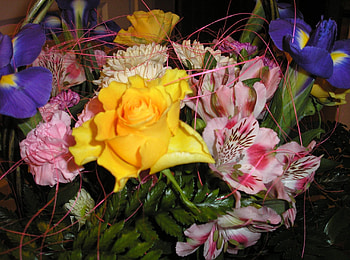Flowers, Roses, Leaves, Registration, Typography, Close-Up, Alstroemeria, Bouquet, Irises HD wallpaper