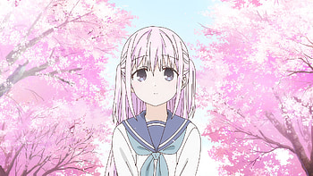 Inexpressive Kashiwada & Expressive Oota — Sakura, Anime, Inexpressive Kashiwada and Expressive Oota, Kashiwada HD wallpaper