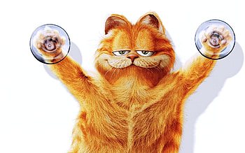 Garfield, Funny Garfield , Comic strip charm HD wallpaper