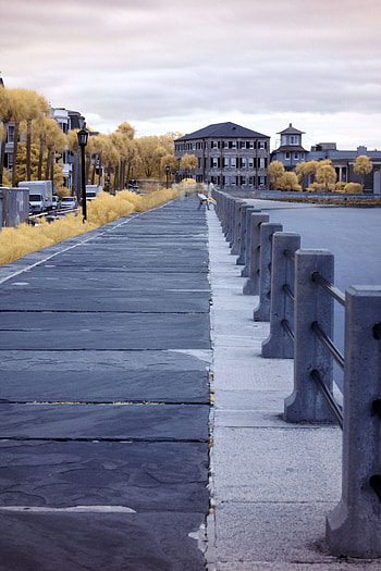 Charleston Travels, The Battery, Infrared Blurred Background HD phone wallpaper