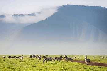 Ngorongoro Crater, Ngorongoro Conservation Area, Tanzania, Arusha Trips HD wallpaper