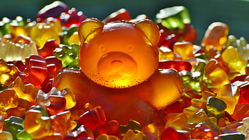 Giant bear, Gummy Bears HD wallpaper