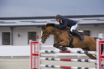 Equestrian, Show Jumping, Sports, Horse, Jump, Motion Blur HD wallpaper