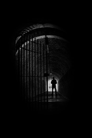 Silhouette, Lattice, Trellis HD phone wallpaper