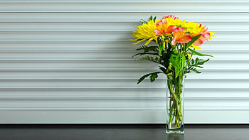 Flowers in a vase, nature, flowers, wp HD wallpaper