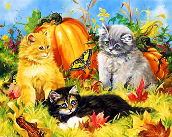 Harvest Time, artwork, maize, kitties, painting, colors, pumpkun HD wallpaper