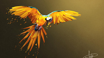 Macaw Lowpoly Art HD wallpaper