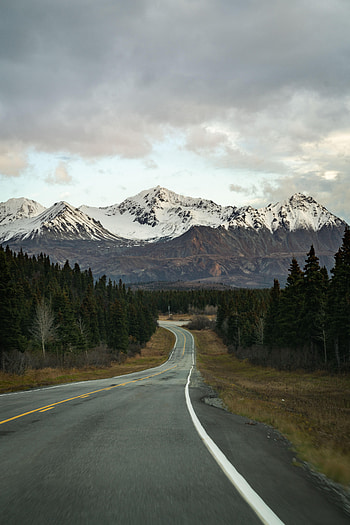 Nature, Mountains, Road, Forest, Asphalt HD phone wallpaper