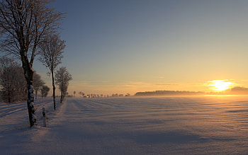 German Winter Sunset, winter, golden, sunsets, colors, beautiful, rural, field, snow, trees, nature, sky, clear HD wallpaper