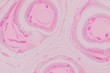 Abstract, Pink, Circles, Faded HD wallpaper