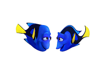 Finding Dory (2016), blue, white, disney, finding dory, summer, animation, movie, couple, fish HD wallpaper