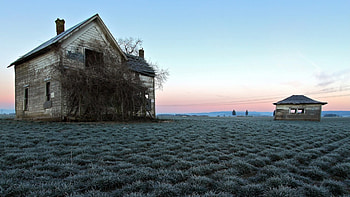 abandoned farmhouse in the middle of fields, abandoned, field, farmhouse, hut HD wallpaper