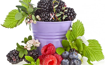 *** Berries ***, owoce, jedzenie, jagodowe, wiaderko HD wallpaper