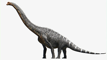 Brachiosaurus, Naturerules1 wiki, Fandom, Brachiosaurus HD wallpaper