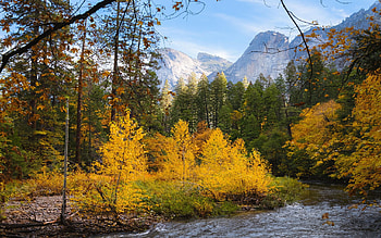 The Merced River, with Cathedral Rocks in the background. Yosemite, California, trees, colors, autumn, clouds, sky, mountains, usa HD wallpaper