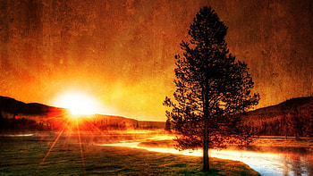 magnificent sunrise over winding river, river, fog, texture, , sunrise, tree HD wallpaper