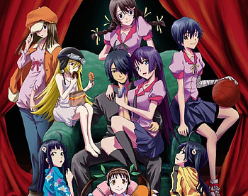 harem monogatari, nekomonogatari, harem, nisemonogatari, bakemonogatari HD wallpaper