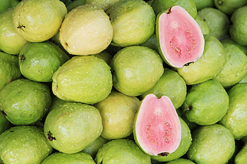 Guava background, Vibrant , Exotic fruit, beauty HD wallpaper