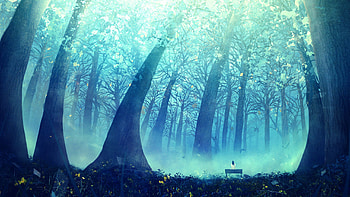 Deep Blue Forest HD wallpaper
