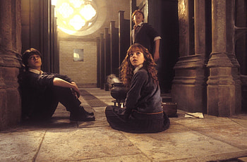 Chamber of Secrets, Harry Potter trio, Iconic scene, Movie HD wallpaper