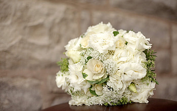 Flowers, Bouquet, Composition, Hydrangea, Eustoma HD wallpaper