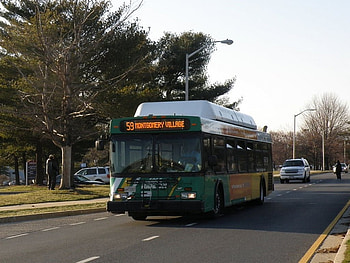New Flyer C40LF, New Flyer, Buses, Cartoons, Disney HD wallpaper