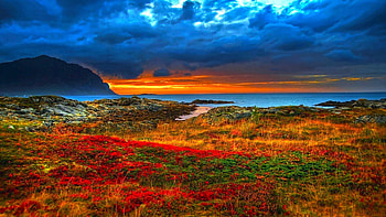 View Of Mountains Under Cloudy Blue Sky Near Ocean, colors, landscape, hills, flowers, rocks HD wallpaper