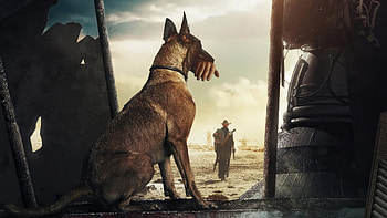 Futuristic Fallout TV Show Featuring Dog and Survivor, TV Show, Fallout, Fallout (TV Show) HD wallpaper