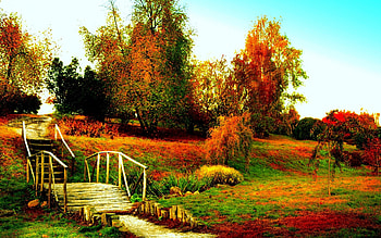 AUTUMN PARK, autumn, stairs, hill, park HD wallpaper