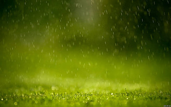 Grass, Background, Rain HD wallpaper