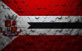 Flag of Alagoinhas, honeycomb art, Alagoinhas hexagons flag, Alagoinhas, 3d hexagons art, Alagoinhas flag HD wallpaper