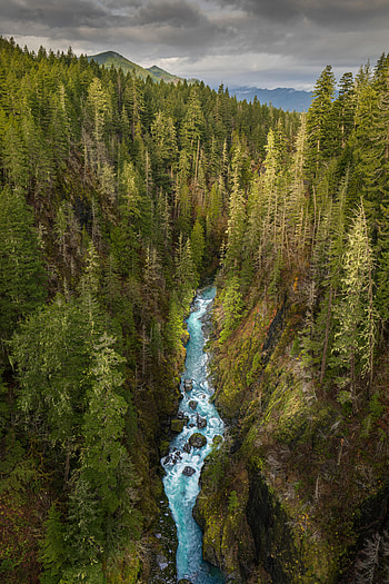 Nature, Rivers, View From Above, Forest, Gorge HD phone wallpaper