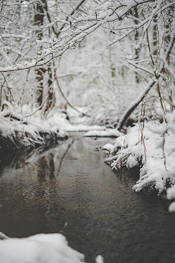 Nature, Rivers, Snow, Branch, Creek, Brook HD phone wallpaper