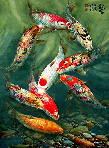 Customized 3D mural decorative wall painting of the entrance corridor nine fish Koi charts m. koi fish. koi fish pond constructionkoi gifts HD phone wallpaper