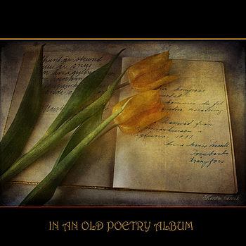 Old Poetry Album, album, still life, old, flowers, tulips, poetry HD wallpaper