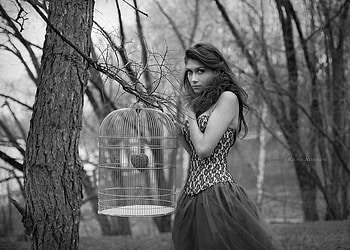 MINDS ..., graphy, love, bw, heart, forest, beauty HD wallpaper