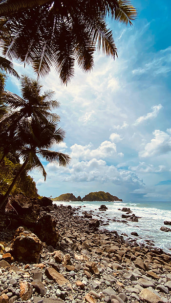 Nature, Stones, Mountains, Sea, Coast, Palm HD phone wallpaper