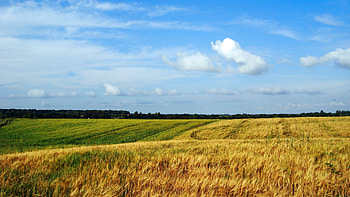 Ukraine , Captivating visuals, Scenic beauty, Inspiring HD wallpaper