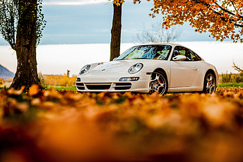 Trees, Porsche, Sky, Autumn, Leaves, Cars, 911 HD wallpaper